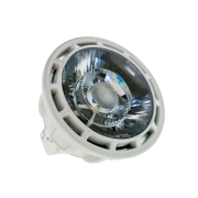 LED Lamp for Systems (MFG 2012 Onward)