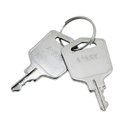 Two replacement keys attached to a keychain.