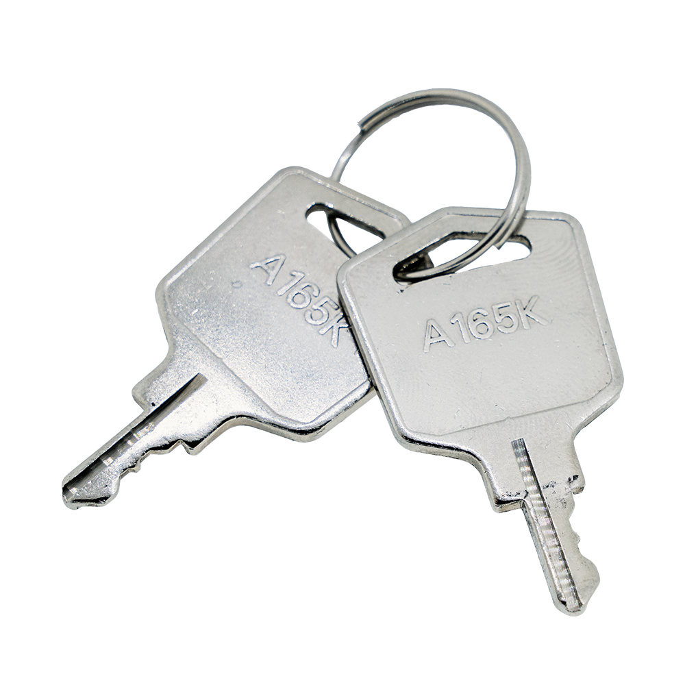 Two replacement keys attached to a keychain.